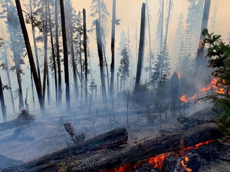 Weekend storms bring more fires to Douglas County | Local News ...