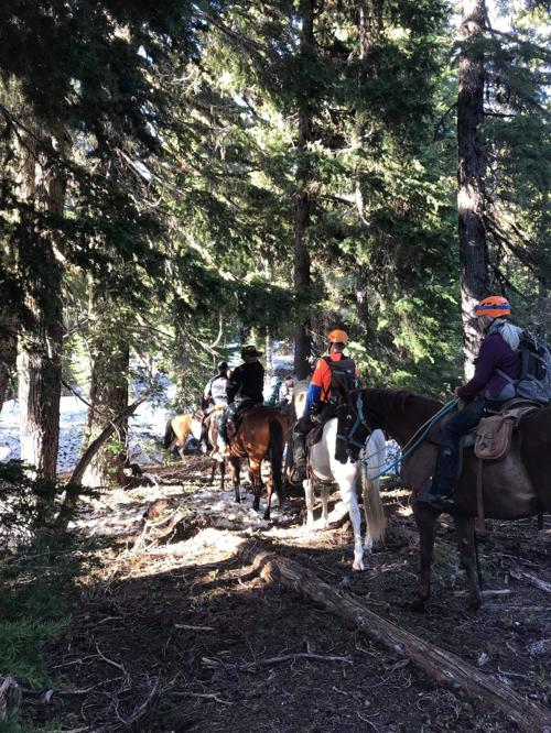 Roseburg man rescued on Pacific Crest Trail