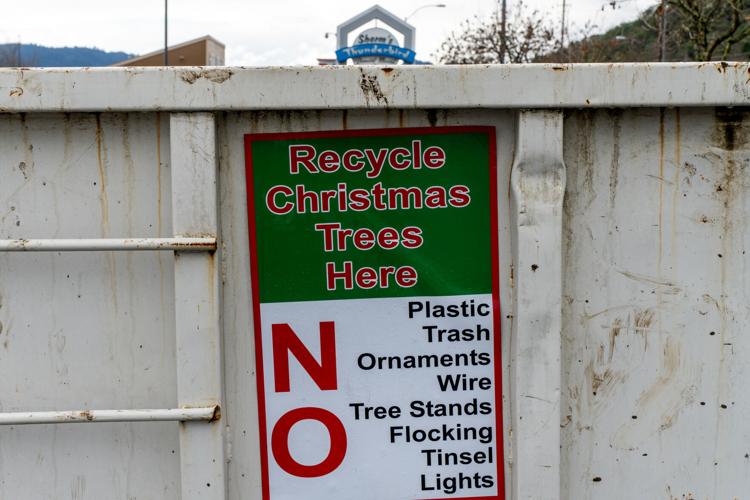 How to dispose of your Christmas tree | Local News | nrtoday.com