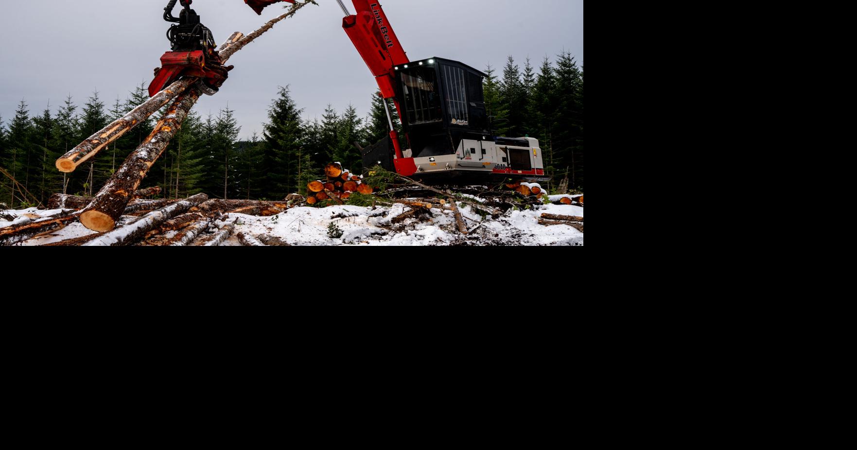 Operating Lone Rock Resources's heavy logging equipment ...