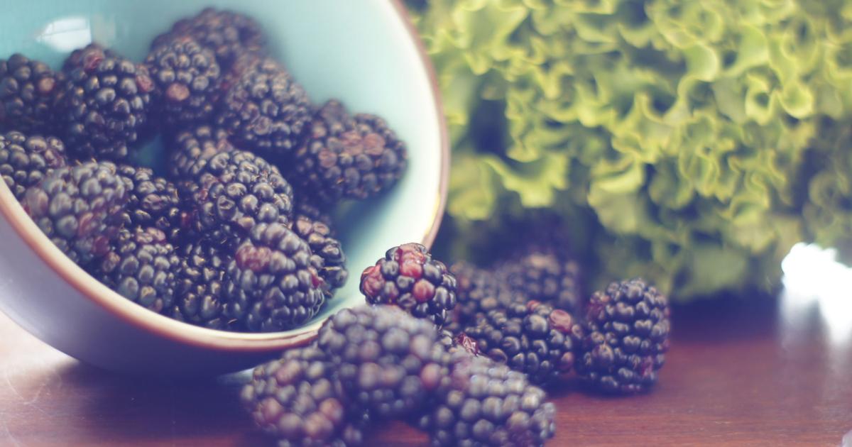 Sutherlin Blackberry Festival returns for 28th year Celebrations