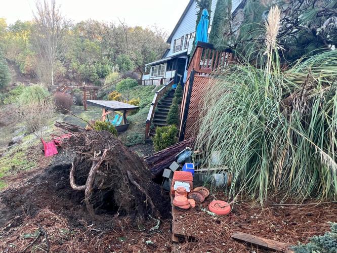 High winds cause power outages, property damage in Roseburg; more heavy ...