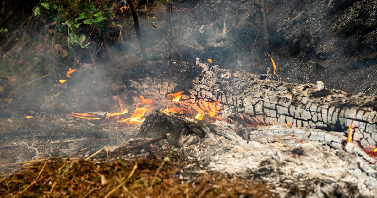 Terrain remains a barrier for fighting Tyee Ridge Complex | Wildfires ...