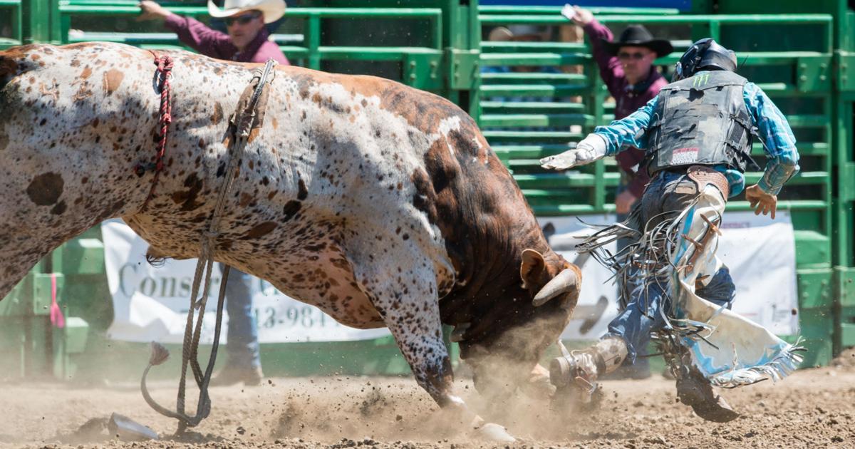 Rodeo: Contestants at Yoncalla Rodeo give it a go | Sports | nrtoday.com