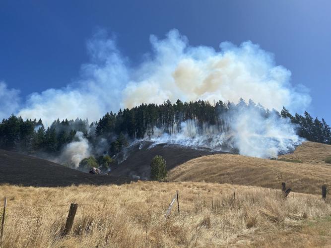 Fire danger level increased to high in Douglas District | Wildfires ...