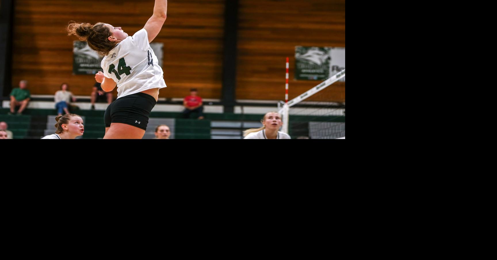 Riverhawks come up short in competitive South Region volleyball season ...