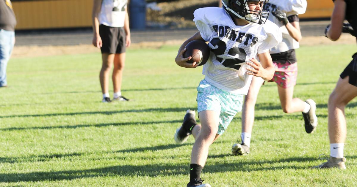 Prep Football Preview: Camas Valley Hornets
