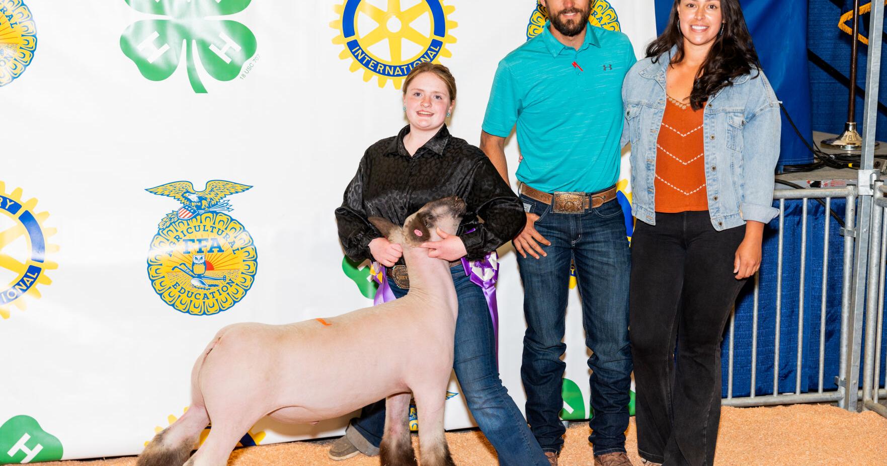 Zerbach sells lamb for over $5,700 at Douglas County Lamb Show - Vimarsana News