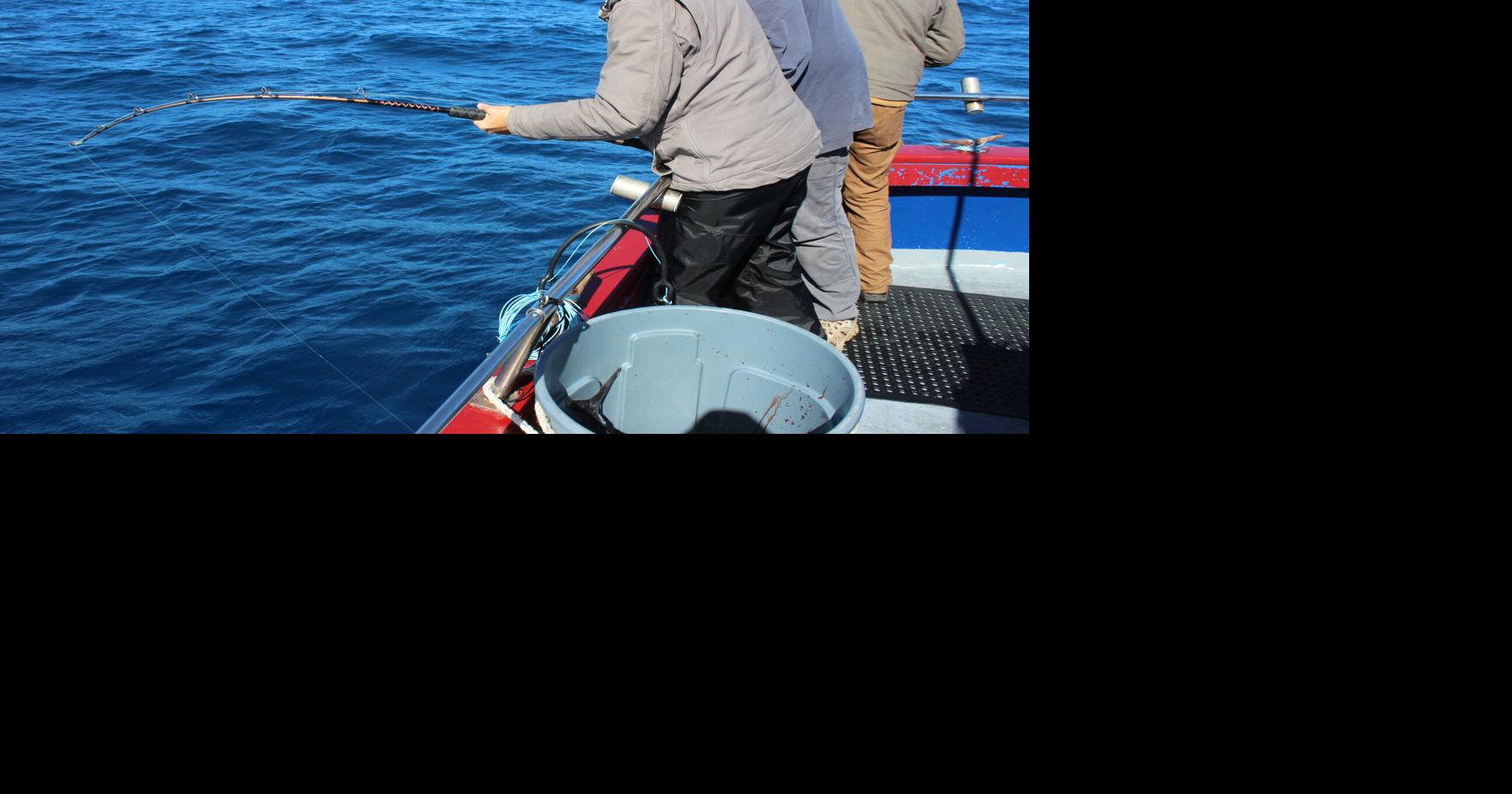 SAN LIKE Trolling Fishing Reels Jigging Reel High Kuwait