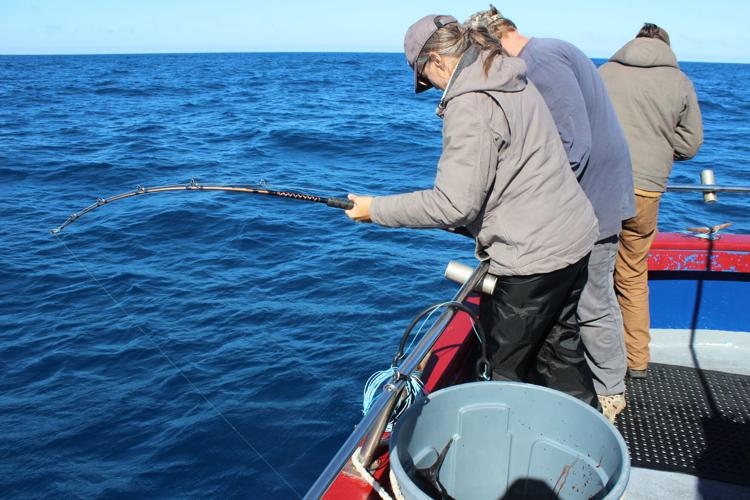 Tuna fishing: Schools of fish in water off the Oregon Coast