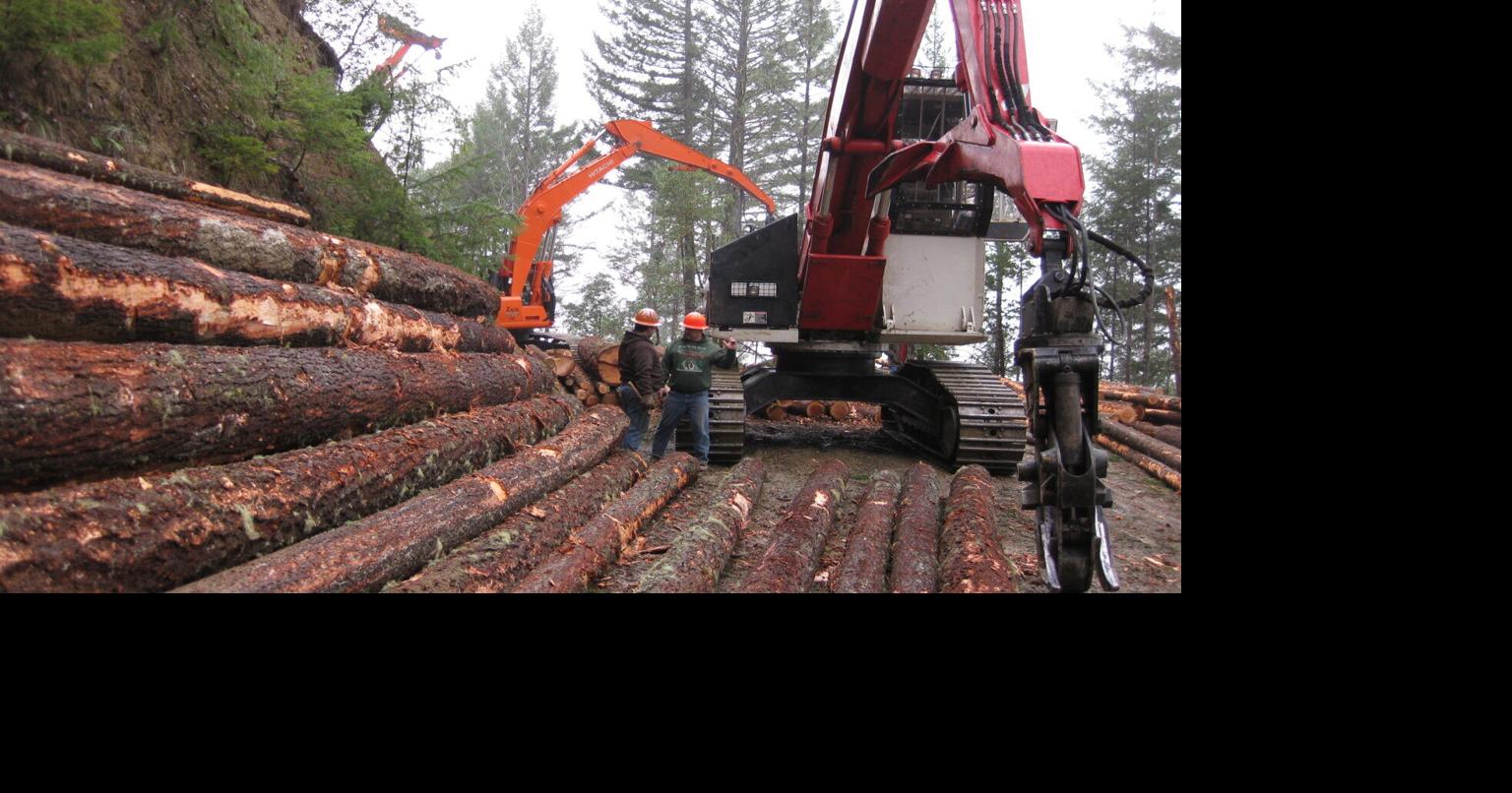 Secure Rural Schools funding restored through 2026 for Douglas County, other rural timber counties