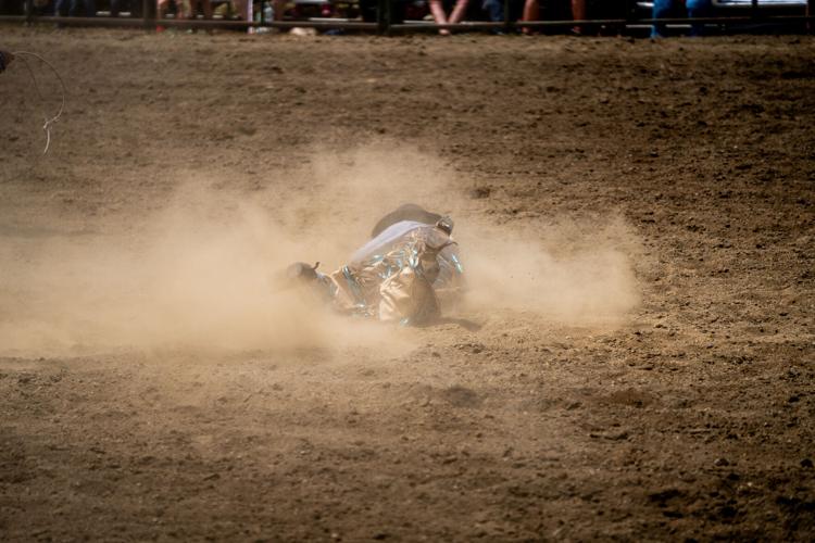 Washington cowboy continues learning phase at South Douglas Rodeo ...