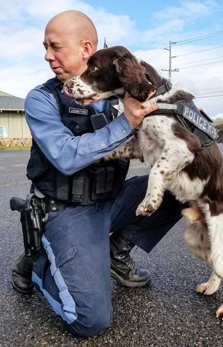 Springer spaniel helps state police find drug traffickers | Local News ...