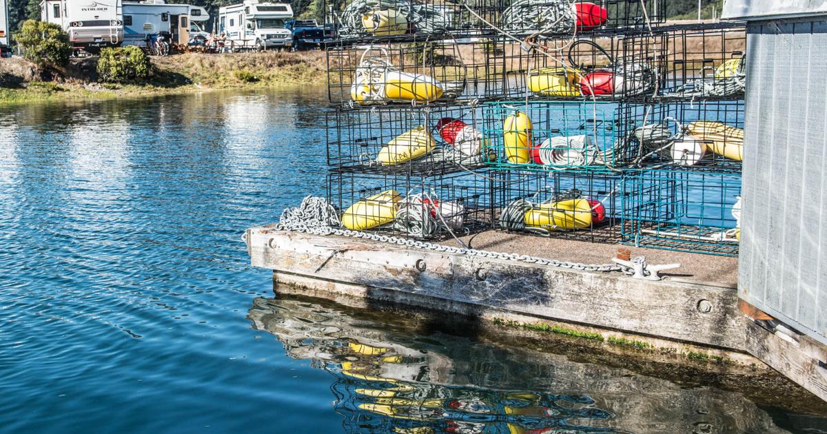 Area For Shellfish More areas open for shellfish harvest | Local News | nrtoday.com