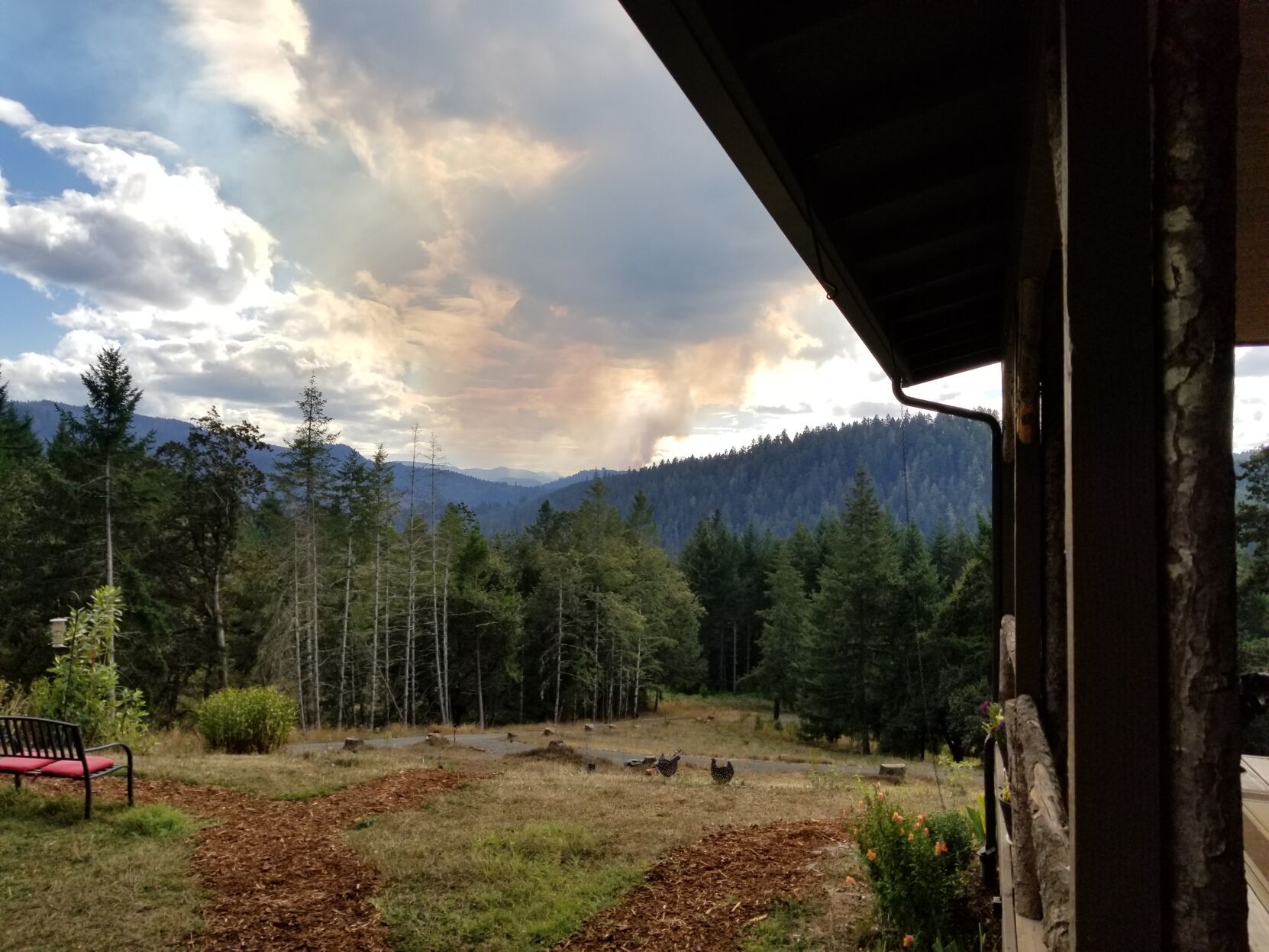 Cougar Creek Fire In Mop-up Phase | Wildfires | Nrtoday.com