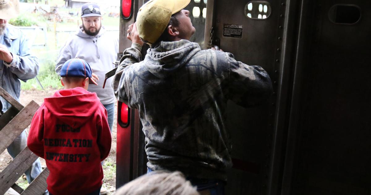 Father's Day is a normal day on the Singleton Ranch | Family | nrtoday.com