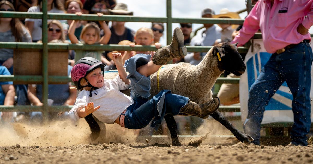 South Douglas Rodeo returns to Myrtle Creek | History | nrtoday.com