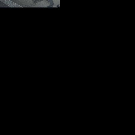 Coastal Casts: Octopus do occasionally surface off Oregon coast ...