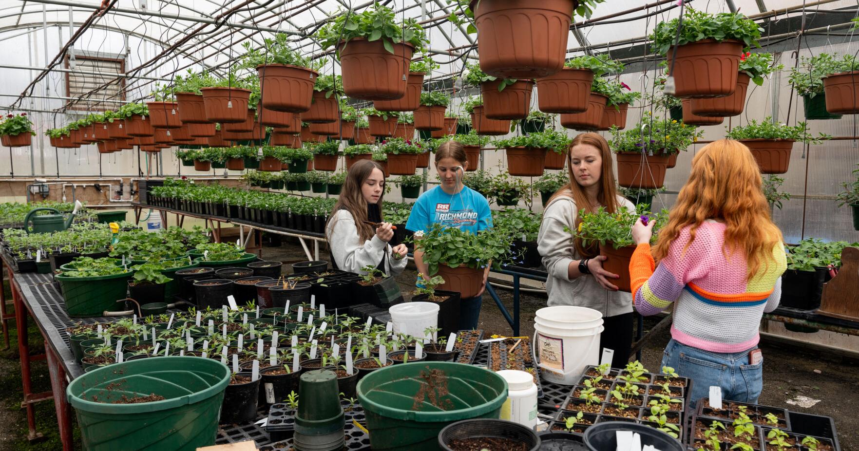 Elkton FFA prepares for annual spring sale - Vimarsana News
