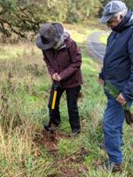 OSU Extension Master Woodland Managers volunteer to help local small woodland owners