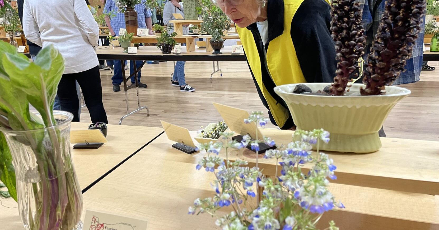 Explore flora at the annual Glide Wildflower Show - Vimarsana News