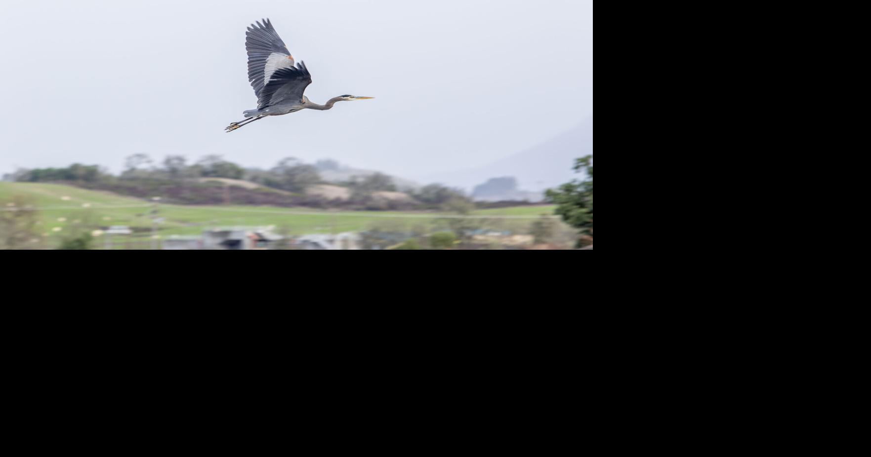 67672a4e7d2d3.image.jpg?crop=1763%2C926%