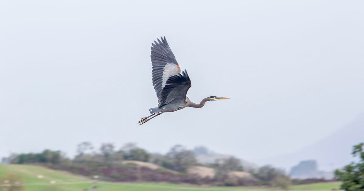 67672a4e7d2d3.image.jpg?crop=1763%2C926%