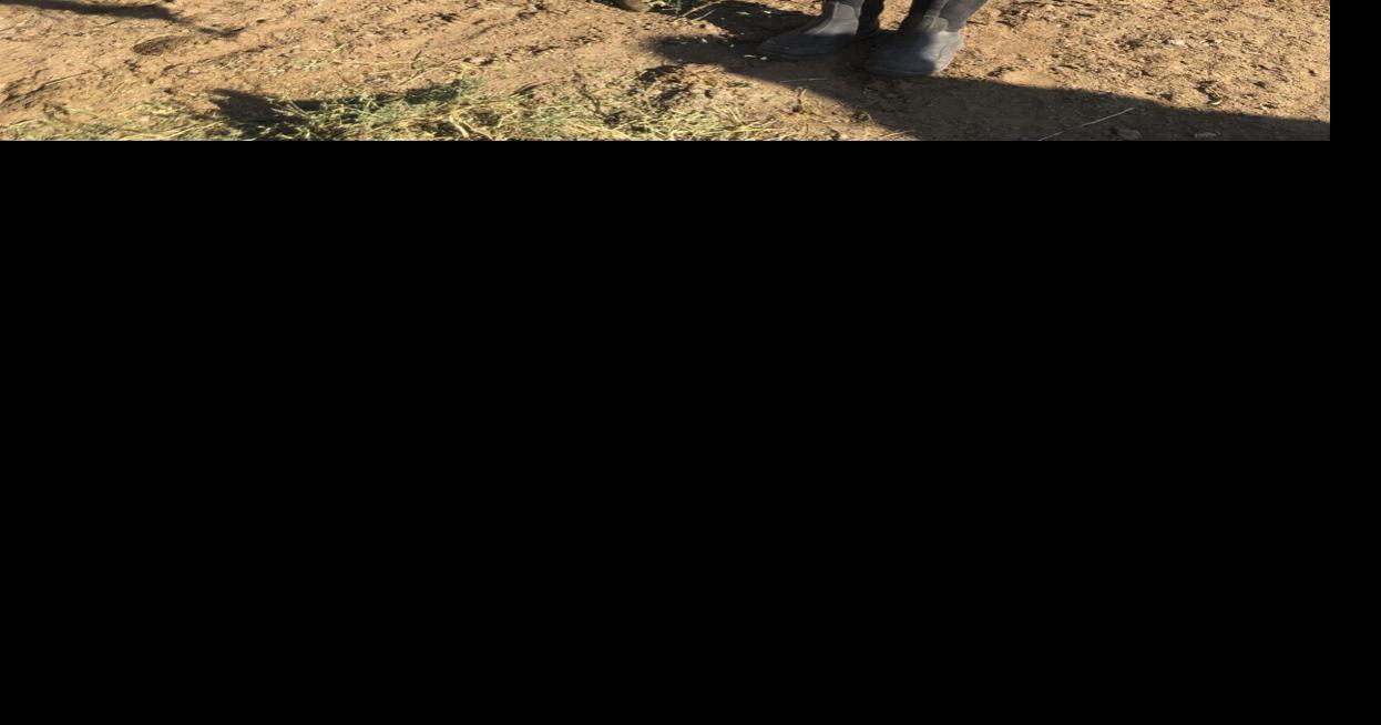 Heifer program gives area youth a jumpstart in cattle business