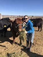 Heifer program gives area youth a jumpstart in cattle business