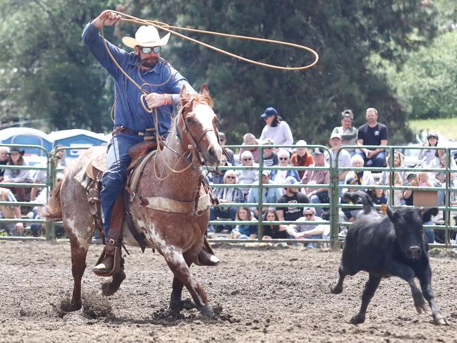 It's back: South Douglas Rodeo returns with thrills and spills ...