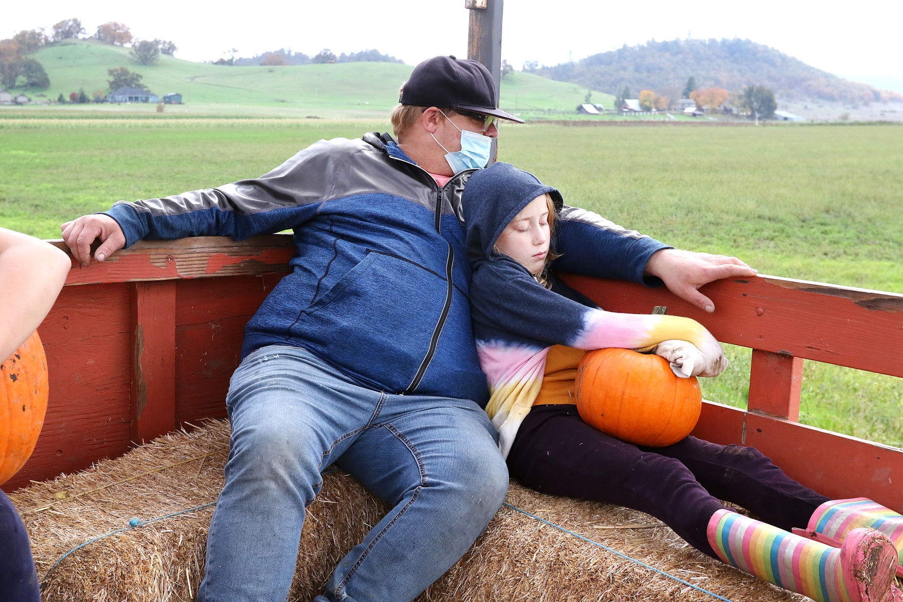 pumpkin patch roseburg oregon