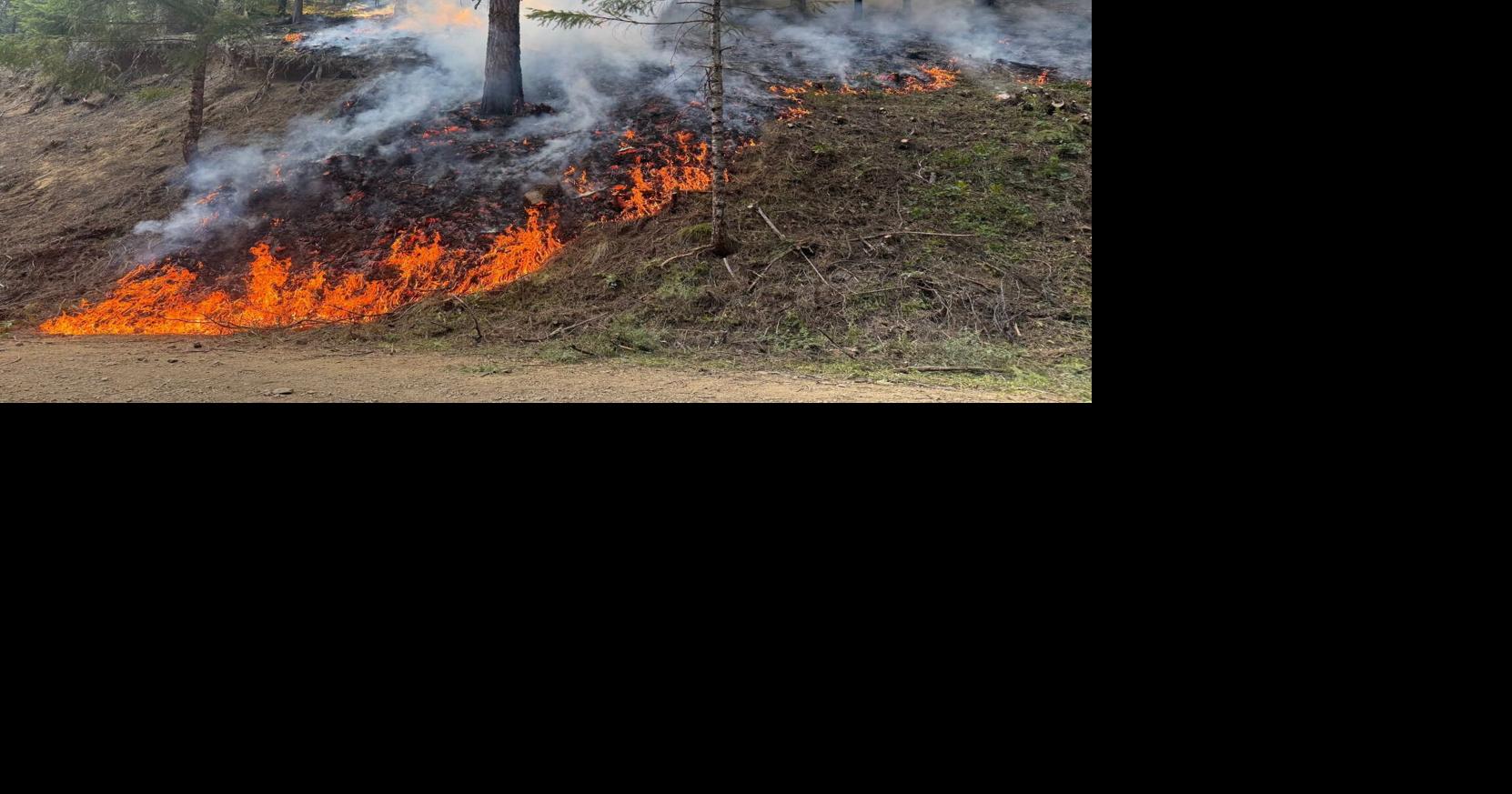 Castle Fire up to 1,400 Acres Umpqua National Forest