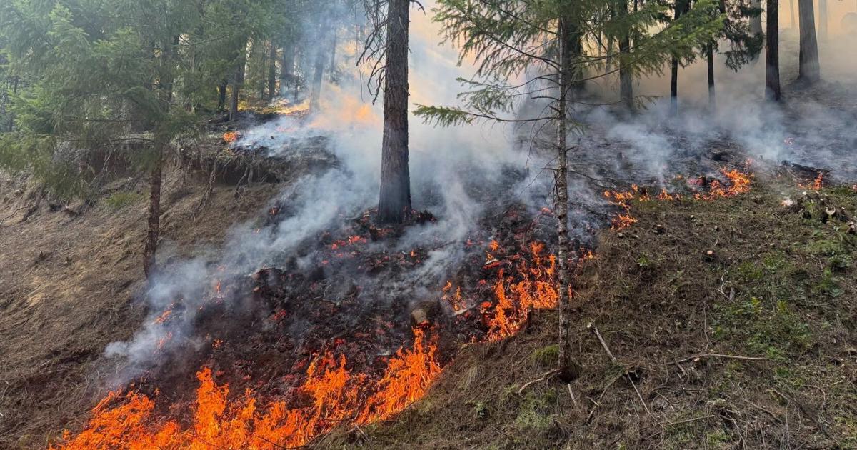Castle Fire up to 1,400 Acres Umpqua National Forest