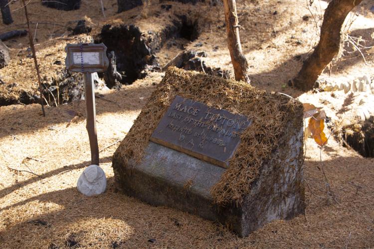 Mace Tipton, last of the Umpquas, and a hidden cemetery | Archiecreek ...
