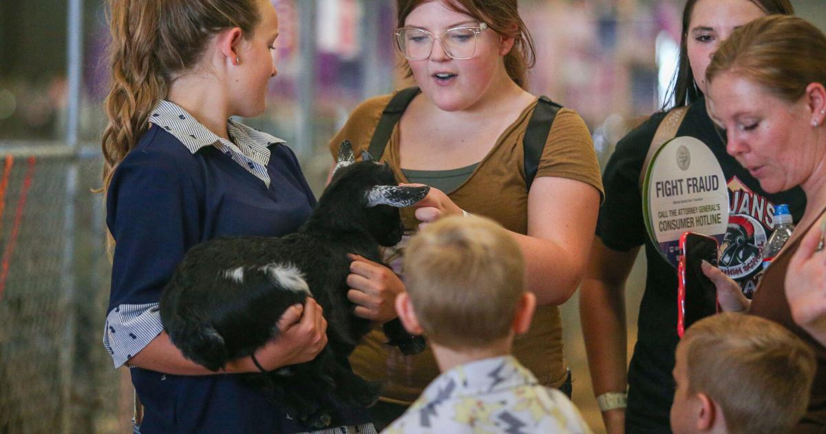 Douglas County Fair: Fair fun and freedom for all attendees