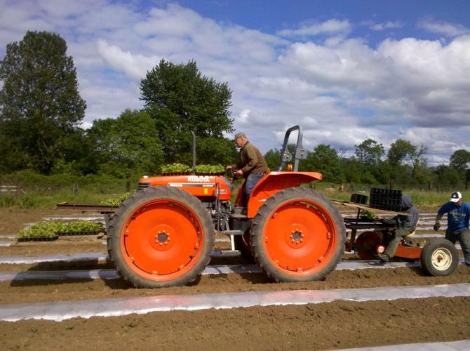 Kruse Farms to close, up for sale Roseburg