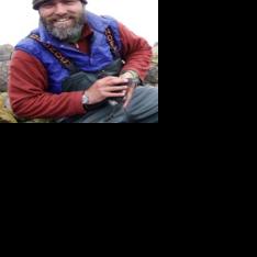 Roseburg library to host wildlife artist - Vimarsana News