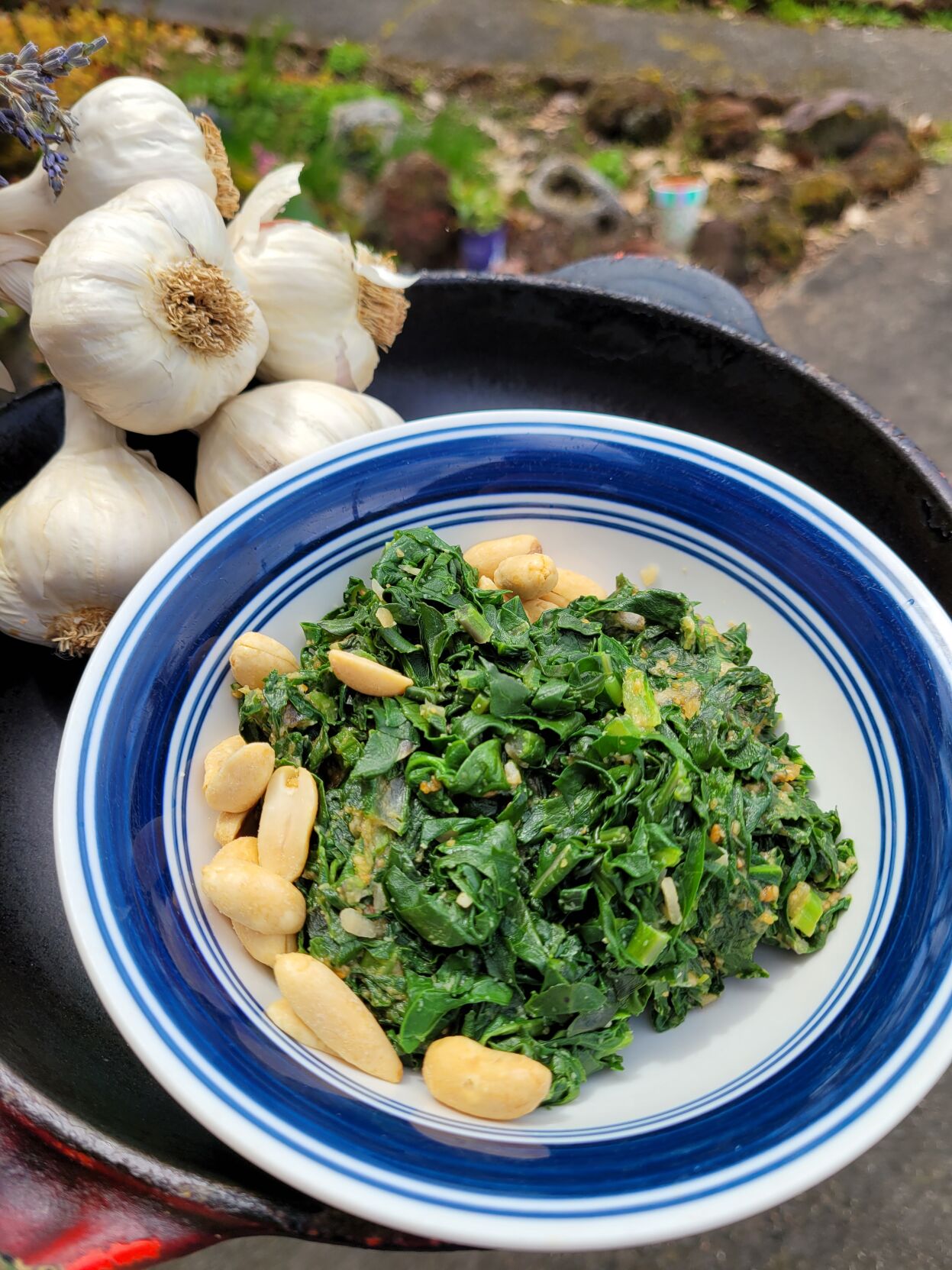 The Underground Veggie Revolution: Tasty Greens You Need To Try! - n9lw7vh