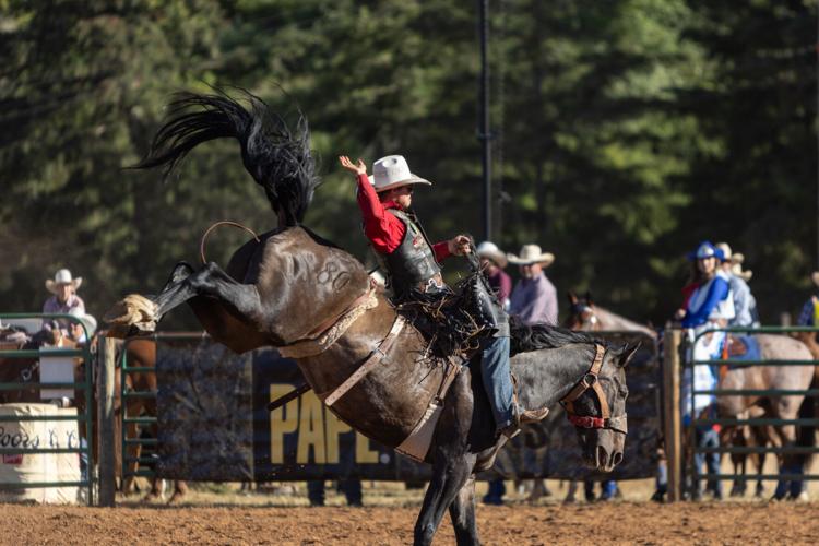 Scott wins bull riding, saddle bronc riding at Yoncalla Rodeo