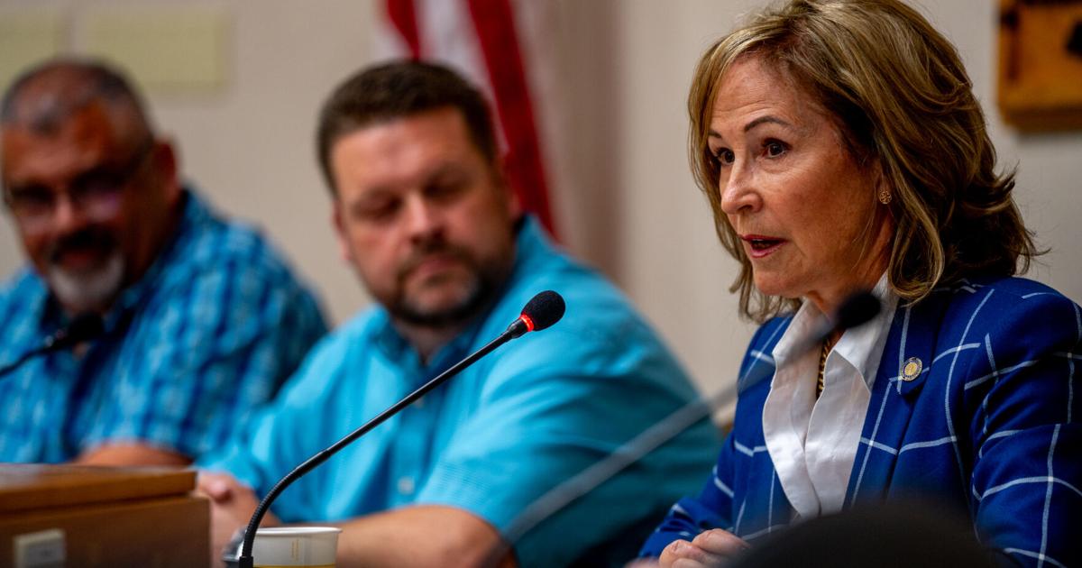 Rep. Goodwin announces run for State Senate | Government | nrtoday.com