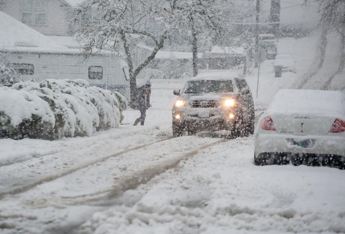 Update Winter Storm Causes Scattered Downed Trees Reports Of