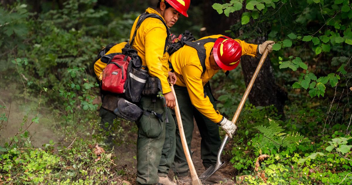 Afternoon on the fire line: A closer look at the Tyee Ridge Complex ...