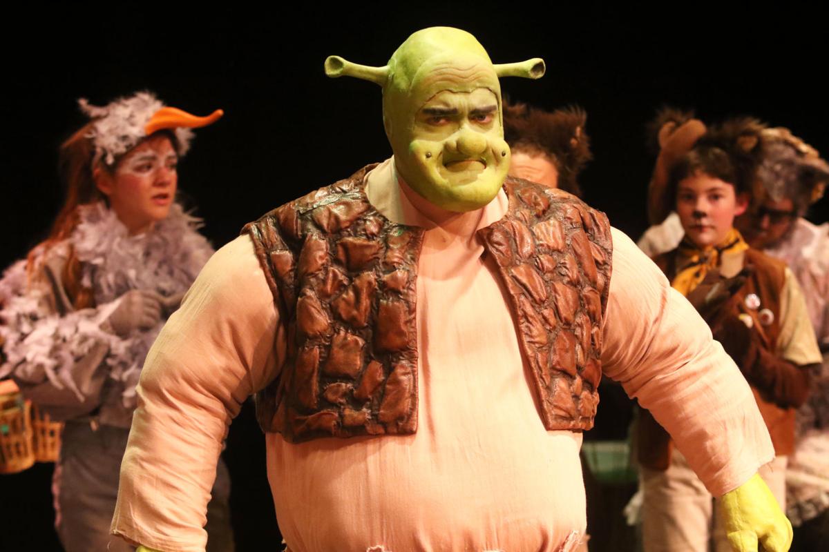 Theater Review ‘Shrek’ unveils ogres and dragons and bears, oh my