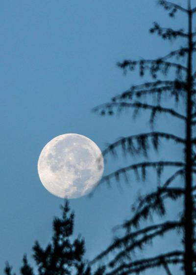 good morning moon local