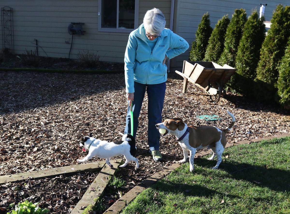 Puppy love Pet adoptions are up at Saving Grace Roseburg