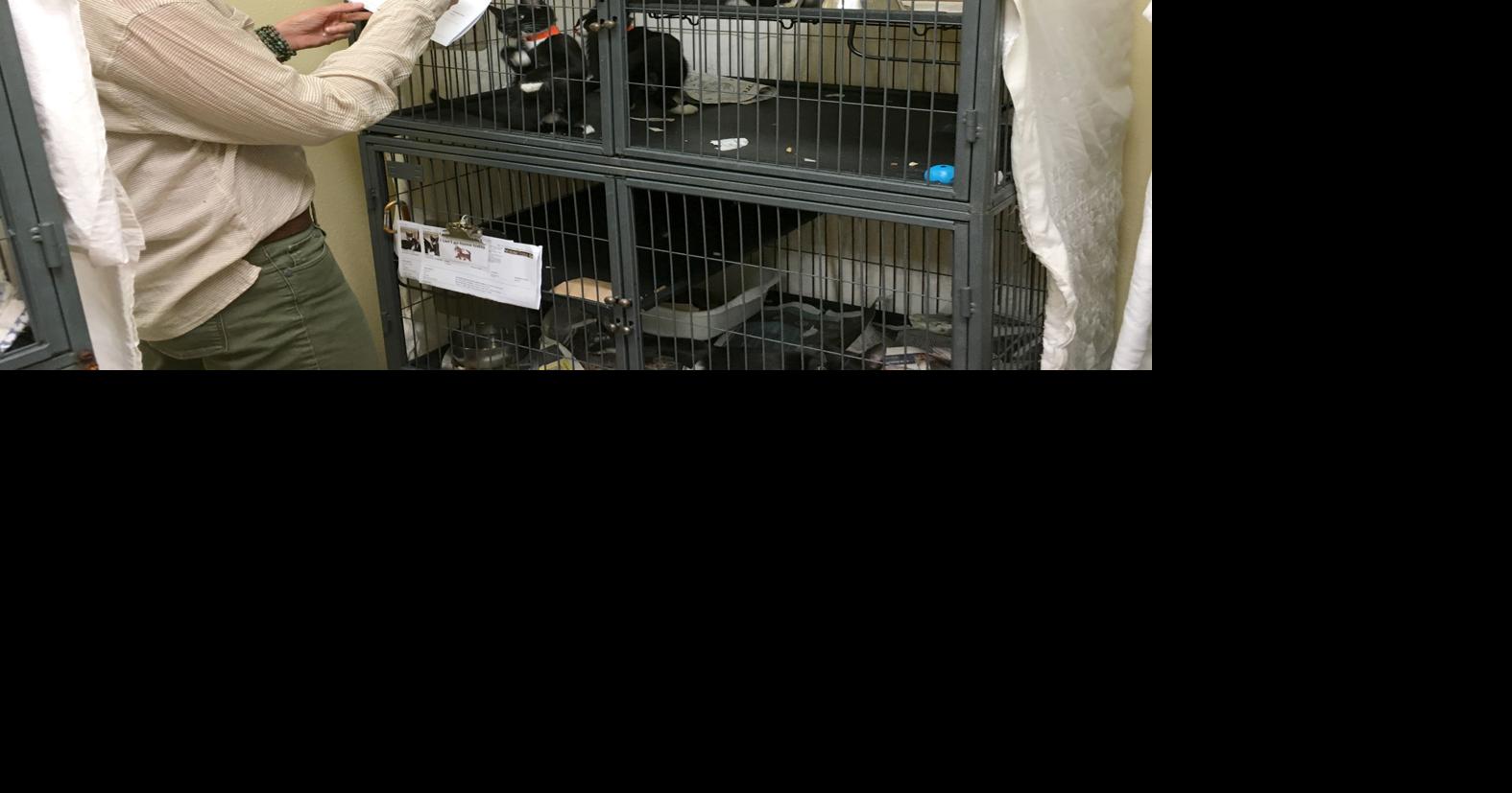 Saving Grace Pet Adoption Center