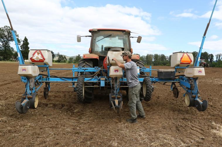 Kruse Farms to close, up for sale Roseburg