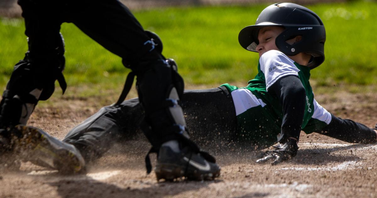 Off and running: Umpqua Valley Cal Ripken baseball, softball season ...
