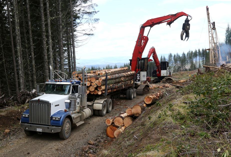 Technology of harvesting timber Environment