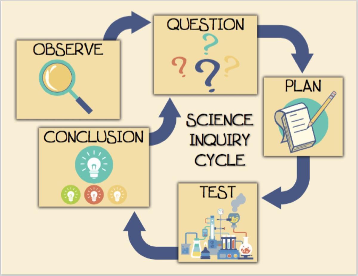 Making a STEAM thinker Education
